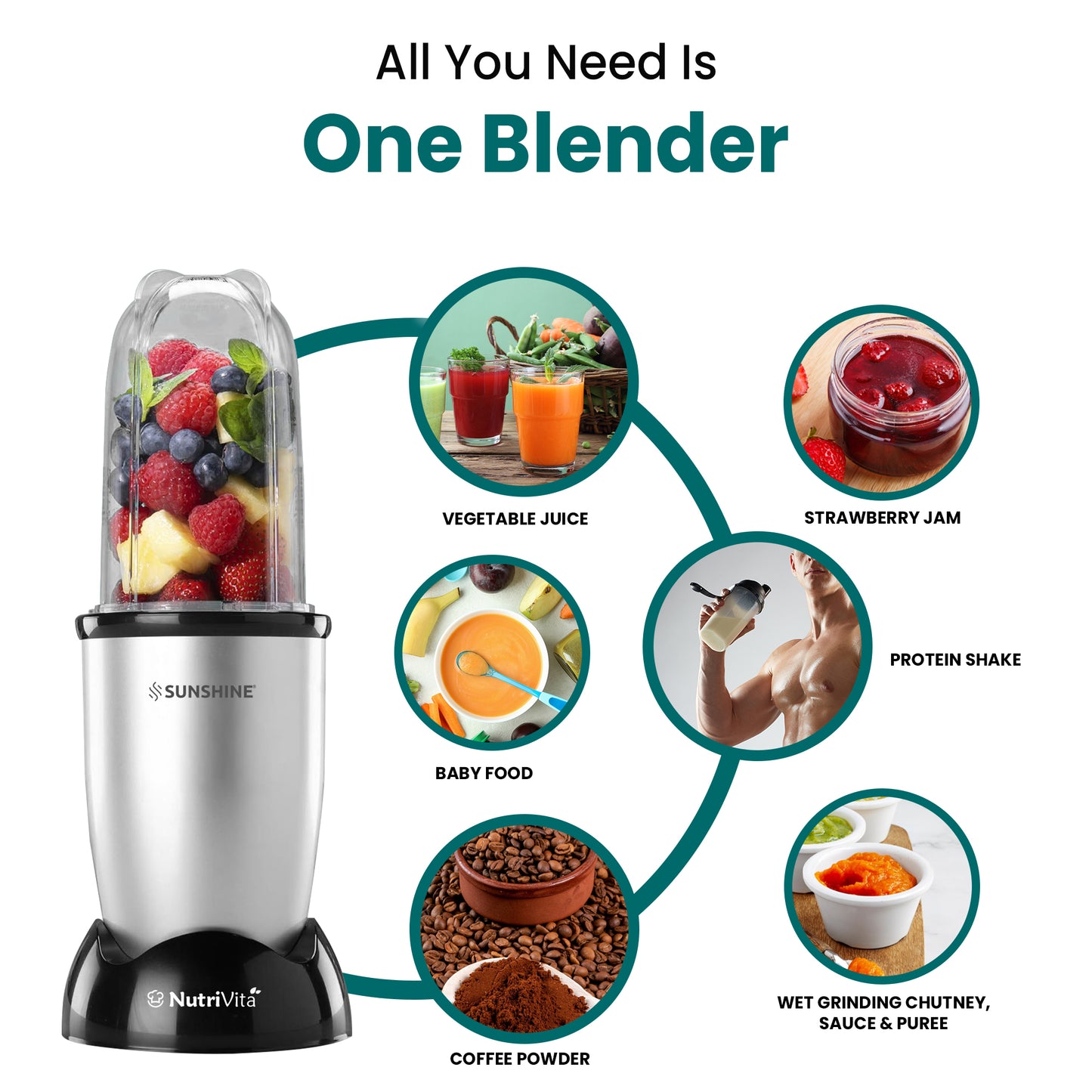 Sunshine Nutri Vita 450 2 In 1 Nutri Blender, Powerful 450 Watts Pure Copper Motor, Shakes and Juices, Stainless Steel Body, 2 Blade Set: Wet & Dry