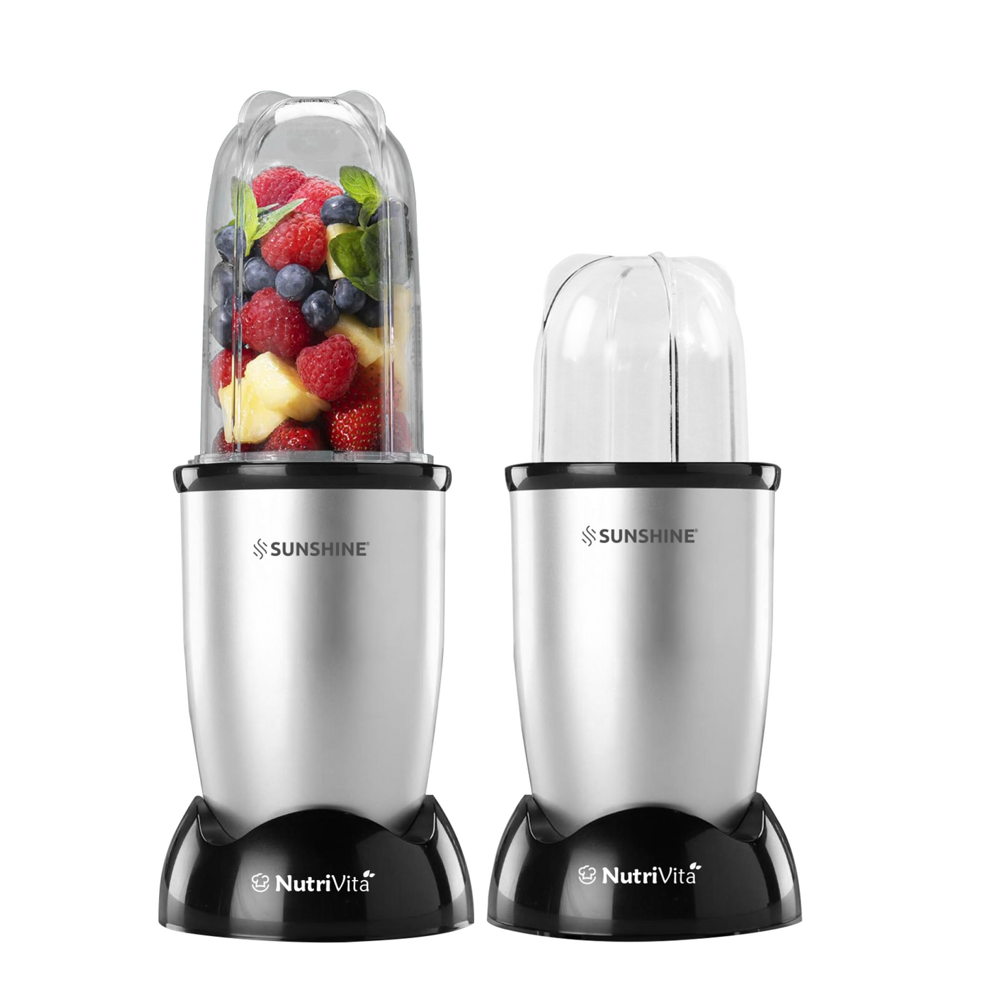 Sunshine Nutri Vita 450 2 In 1 Nutri Blender, Powerful 450 Watts Pure Copper Motor, Shakes and Juices, Stainless Steel Body, 2 Blade Set: Wet & Dry